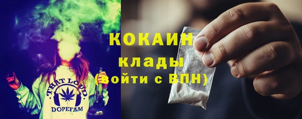 твердый Богородск