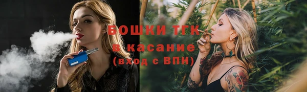 твердый Богородск