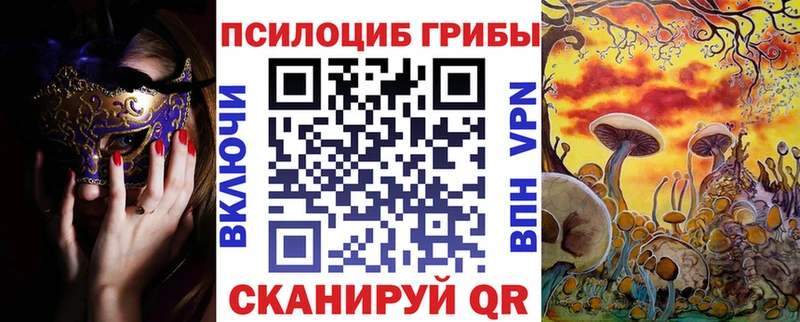 Псилоцибиновые грибы Cubensis  Мелеуз 